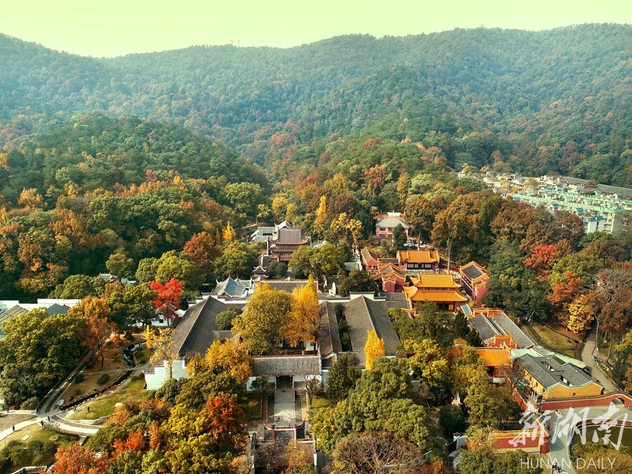 张家界+重庆双卧8日